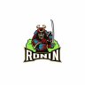 MrRonin